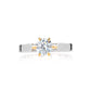 Wedding collection: 6 prong "Modern solitaire Ring"