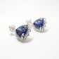 Micro-setting Sapphire color Hearts of Oceans earrings, sterling silver